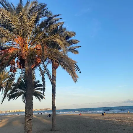 Nuevo Bonito Atico Centro Tradicional En Mercado Daire